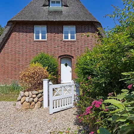 Newport Holiday home *